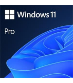 OEM Windows 11 Pro 64Bit Eng 1pk DVD