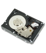 Dell 1.2TB 10K RPM SAS 12Gbps 512n 2.5in Hot-plug Hard Drive 3.5in HYB CARR CK