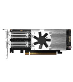 QNAP QXG-100G2SF-E810