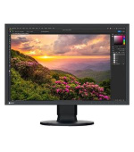 EIZO 24,1" CS2400S, 1920 x 1200, IPS (WG),16:10, 410 cd/m2, 1350:1, DP/HDMI/USB-C, černý
