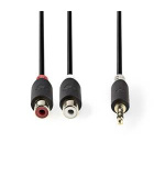 Nedis CABW22250AT02 - Stereofonní Audio Kabel | 3,5mm Zástrčka - 2x RCA Zásuvka | 0,2 m | Antracit