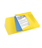 Esselte box na dokumenty VIVIDA, 40 mm, žlutá