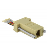 Delock Adaptér Sub-D devítipinového zásuvkového konektoru na montážní sestavu zásuvkového konektoru RJ45, šedý