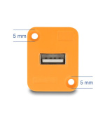 Delock Modul Typu D, ze zásuvky USB 2.0 Typ-A na zásuvku, oranžový