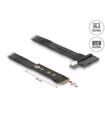 Delock Adaptér M.2 klíč M na U.2 SFF-8639 NVMe, s kabelem délky 20 cm