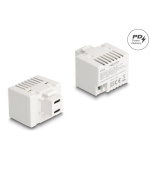 Delock Modul Keystone se dvěma nabíjecími porty USB Type-C™, PD, 20 W, bílý