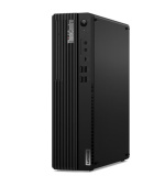 Lenovo ThinkCentre M75s G5 SFF Ryzen 3 8300G/8GB/256GB SSD/DVD±RW/3yOnsite/Win11 Pro/černá