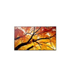 Sharp 50" velkoformátový display MultiSync M502- 24/7, 550 cd, VA LED, 3840x2160, 16:9, 8ms, 8000:1,  DP, 2x HDMI, USB