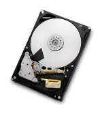 WD Ultrastar® HDD 6TB (HUS726T6TALE6L4) DC HC310 3.5in 26.1MM 256MB 7200RPM SATA 512E SE (GOLD WD6002FRYZ)