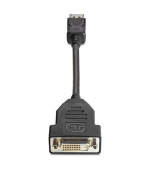HP DisplayPort To DVI-D Adapter