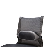 Fellowes Bederní opěrka I-Spire šedá