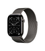 Apple Watch S11 Cell/46/Elegant Band/Slate