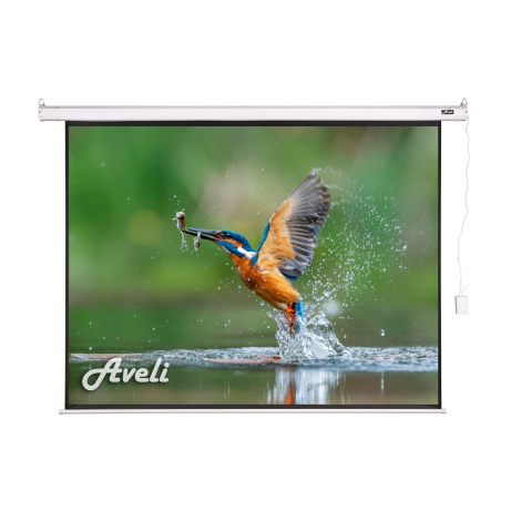 Elektrické projekční plátno AVELI, 175x131 (4:3) 86"