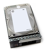 Dell/4TB/HDD/3.5"/SAS/7200 RPM/1R