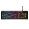 Genesis herní klávesnice RHOD 300/RGB/Drátová USB/CZ/SK layout/Černá