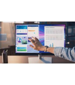 Dell Professional P2424HT 24" WLED/6ms/1000:1/Full HD Touch/VGA/HDMI/DP/USB/IPS panel/cerny