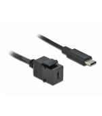 Delock Keystone modul USB 3.0 C samice > USB 3.0 C samec s kabelem