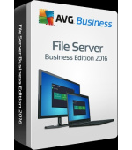 AVG File Server Edition (5-19) lic. na 2 roky