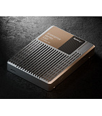 Synology U.3 NVMe SPU7200D-3840G