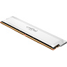 BOHEMIAPC GAMER LADY - Herní AMD RYZEN 5 7600, 1TB M.2, RTX 5060 8GB, 32 GB DDR5, WIN 11 PRO, Wi-Fi - BCRR57600RTX506032GBDDR5
