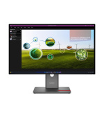 Lenovo ThinkVision/P27q-40/27"/IPS/QHD/120Hz/4ms/Black/3R