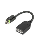 ThinkStation Mini DP to DP Adapter