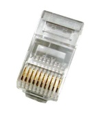 DATACOM konektor UTP CAT5E 10p10c RJ50 lanko(10ks)