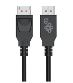 TB kabel Displayport 2m, v 2.1