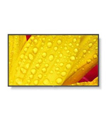 NEC 43"  display MultiSync M431-2  -  24/7, 500 cd, IPS LED, 3840x2160, 16:9, 8ms, 8000:1, DP, 2x HDMI, černý