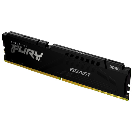 Kingston FURY Beast EXPO/DDR5/64GB/5600MHz/CL40/1x64GB/Black