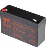 Akumulátor T6 Power NP6-12, 6V, 12Ah, F2