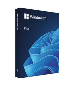 Win Pro FPP 11 64-bit Eng USB