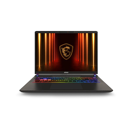 MSI Vector/16 HX AI A2XWHG-095CZ/U7-255HX/16"/2560x1600/32GB/1TB/RTX 5070Ti/W11H/Gray/2R