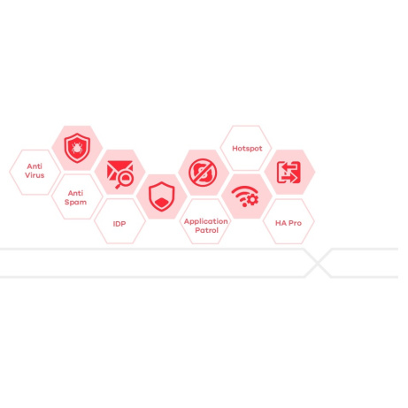 LIC-BUN, 1 Month for co-termination, Content Filtering/Anti-Spam/Anti-Virus Bitdefender Signature/IDP/SecuReporter Premi