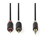 Nedis CABW22200AT100 - Stereofonní Audio Kabel | 3,5mm Zástrčka - 2x RCA Zástrčka | 10 m | Antracit
