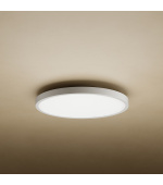 Xiaomi Mi Smart LED Ceiling Light D20