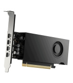 PNY NVIDIA RTX 2000E Ada Generation/16GB/GDDR6