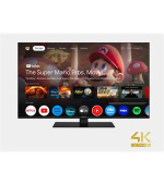 Panasonic TN-43W70AEZ Smart Google TV, 108cm, 4K, LED, HDR10, DVB-T2/S2/C