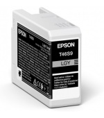 Epson Singlepack Light Gray T46S9 Ultrachrome