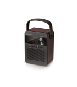 CARNEO F90 FM rádio, BT reproduktor, black/wood