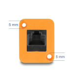 Delock Modul Typu D, ze zásuvky RJ45 na zásuvku, oranžový