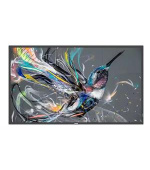 Philips LCD 43BDL3511Q - 43" Q-Line, IPS, 4K UHD, 18/7, D-LED, 400cd/m2, 500 000:1, 8ms, LAN