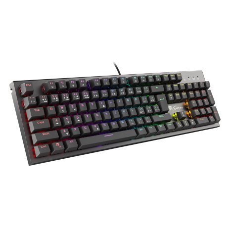 Mechanická klávesnice Genesis Thor 300 RGB, CZ/SK layout, RGB podsvícení, software, Outemu Red