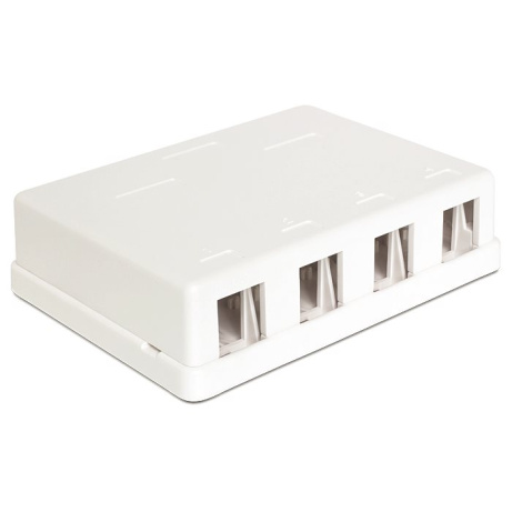 Delock Keystone Box 4-portový, nástěný