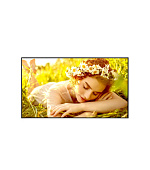 50" LG LED 50UL5 - UHD,500cd,WebOs,24/7