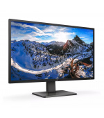 Philips/439P1/00/42,51"/VA/4K UHD/60Hz/4ms/Black/3R