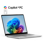 Microsoft Surface Laptop 13"/SD-X Plus/13"/1920x1280/T/24GB/1TB/Adreno/W11P/Platinum/2R