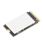 Lenovo ThinkPad/256GB/SSD/M.2 NVMe/Černá/1R