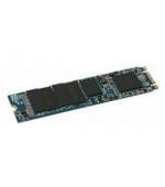 Dell/240GB/SSD/SATA/M.2 SATA/1R