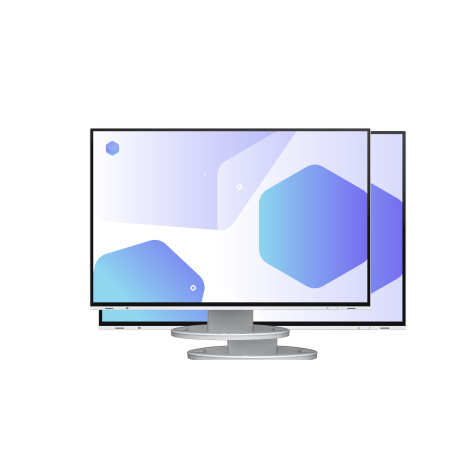 EIZO FlexScan/EV2485/24"/IPS/FHD/60Hz/5ms/White/5R